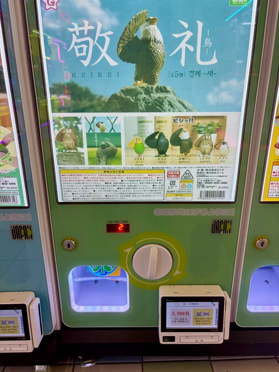 경례 새 흰머리수리 가챠