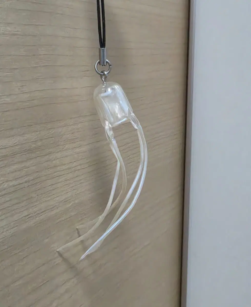 카이요도 작은상자해파리 피규어