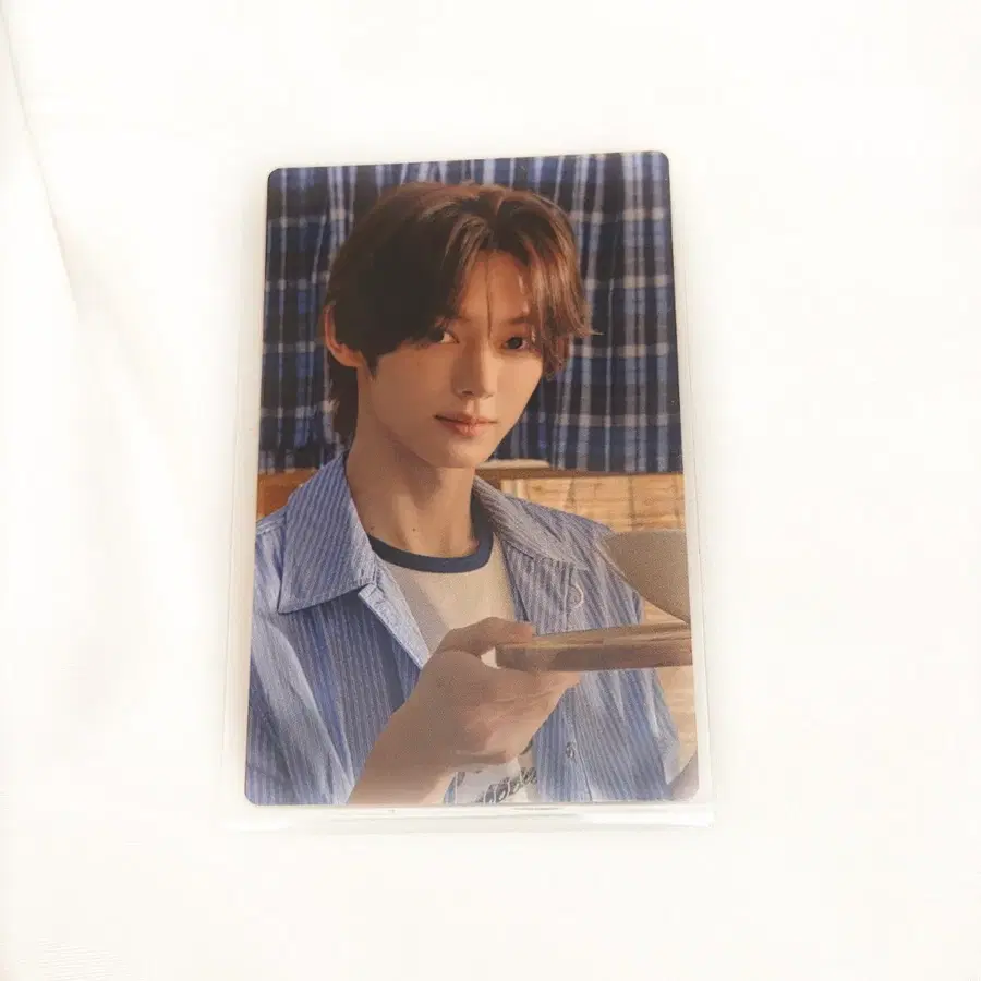투어스 소다소다 SODA SODA 포카 한진