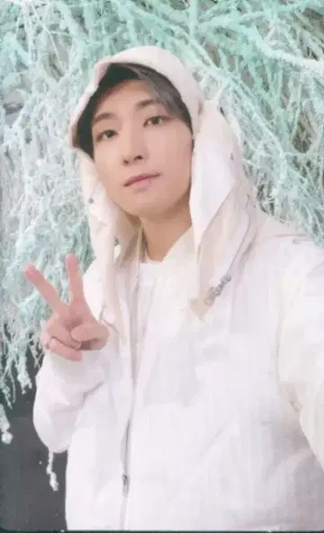 SEVENTEEN SECTOR 17 원우 트레이딩 카드