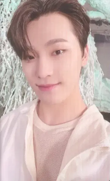 세븐틴 SECTOR 17 DINO 트레이딩 카드