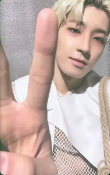 SEVENTEEN FACE THE SUN 원우 트레이딩 카드