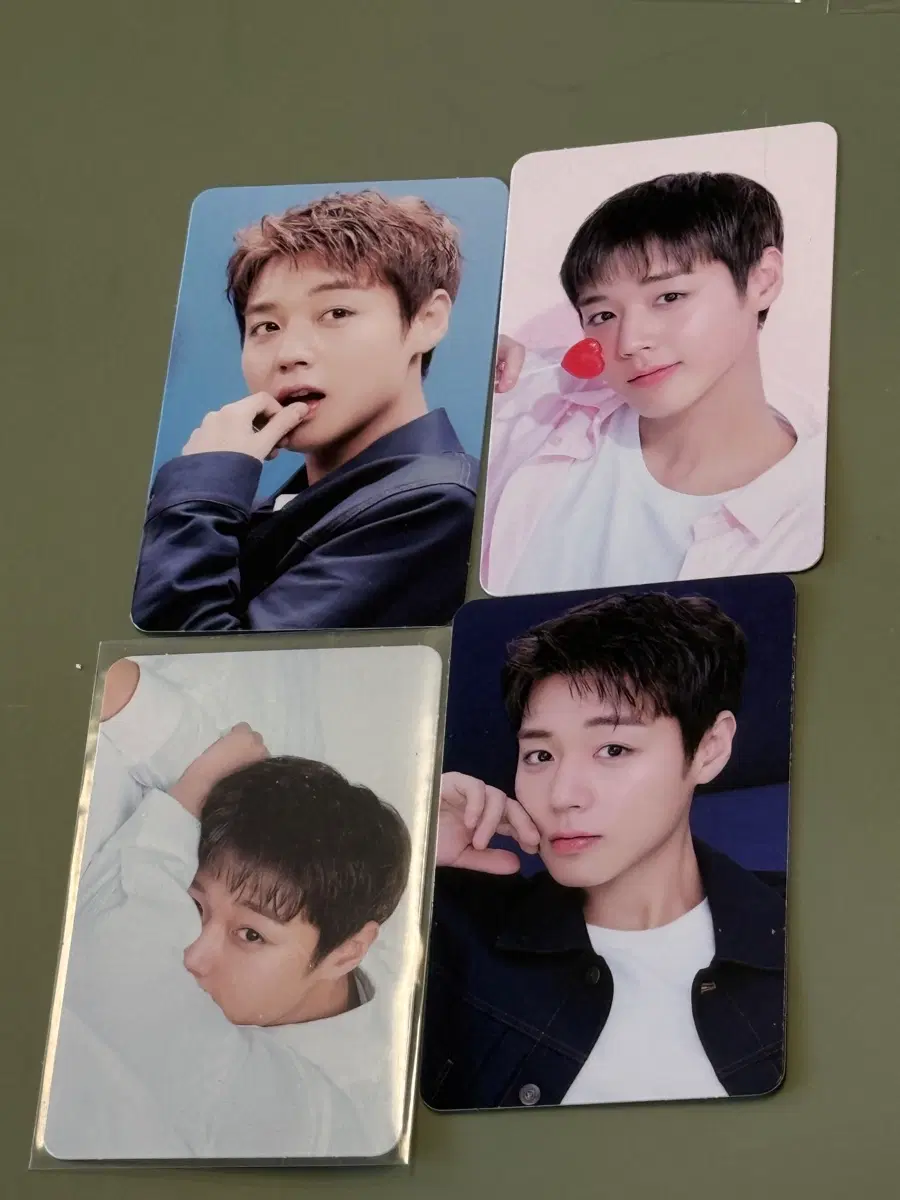 박지훈 포카 일괄