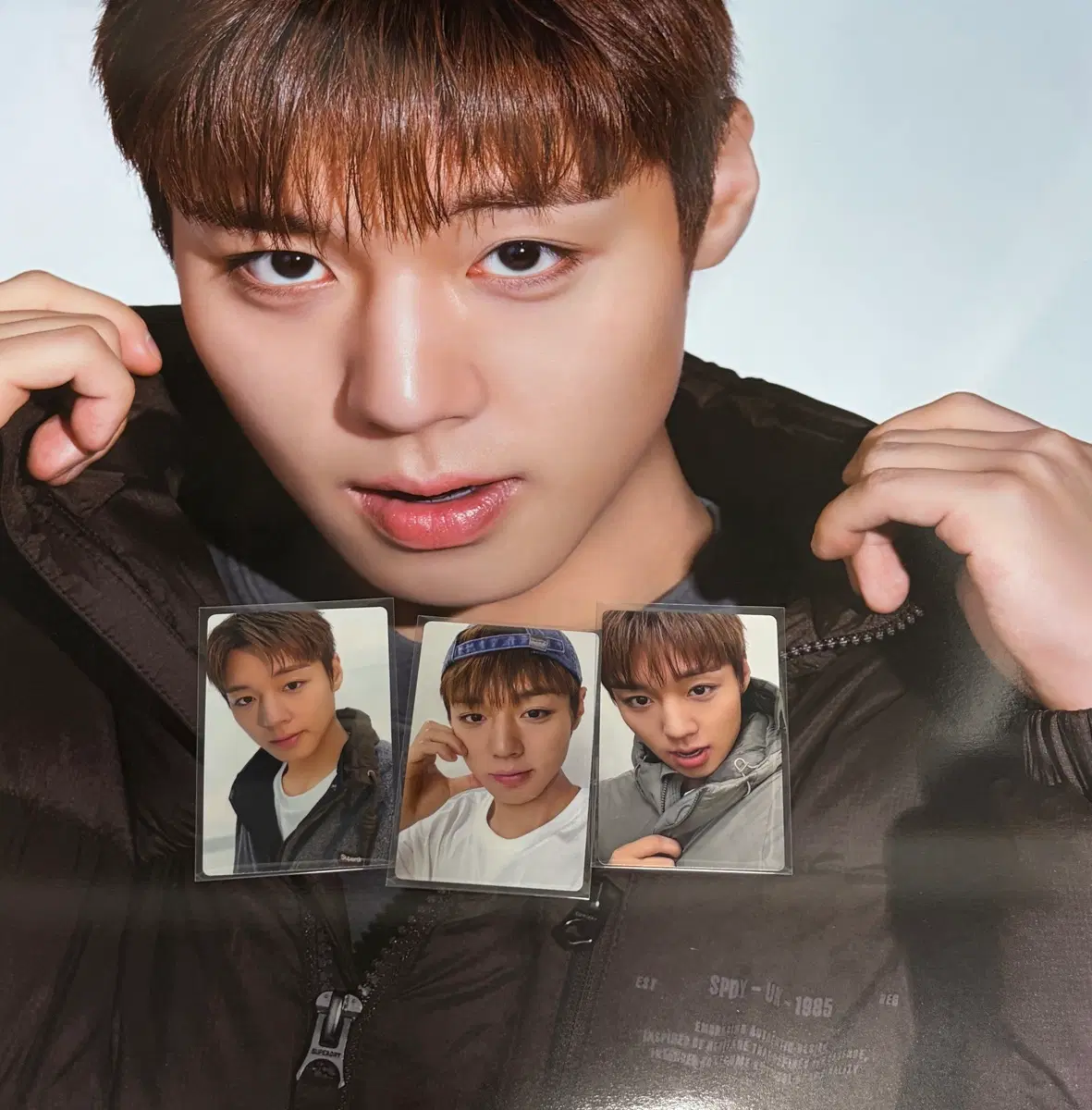 미개봉) 박지훈 수퍼드라이 슈드 포토카드 포카 포스터 일괄판매