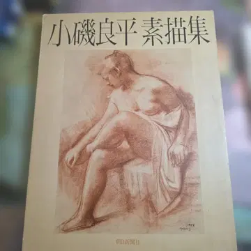 고이소 료헤이 소묘집 아사히 신문사