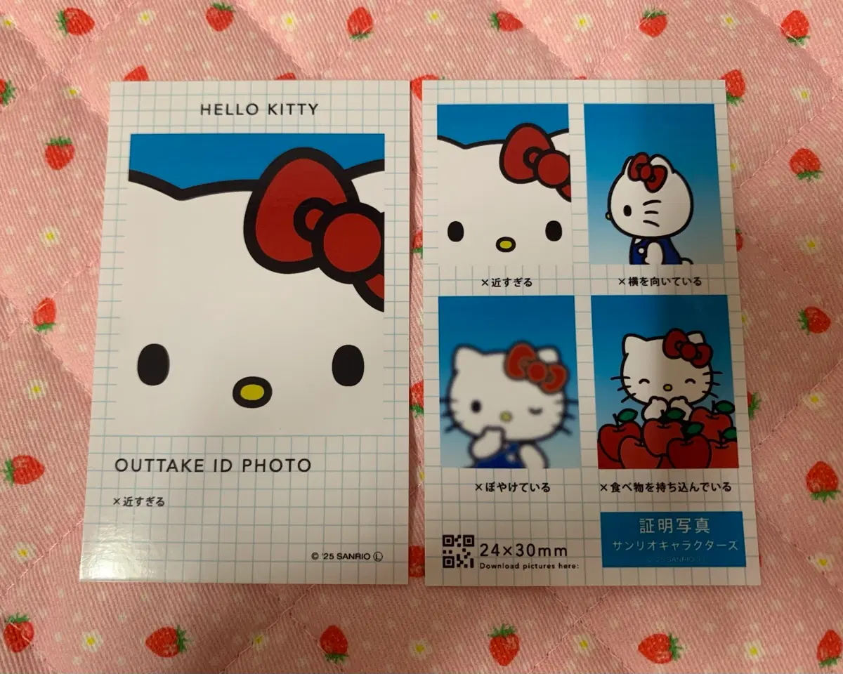 헬로키티 증명사진
