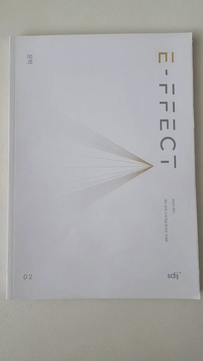 시대인재 수능 국어 EFFECT 문학2
