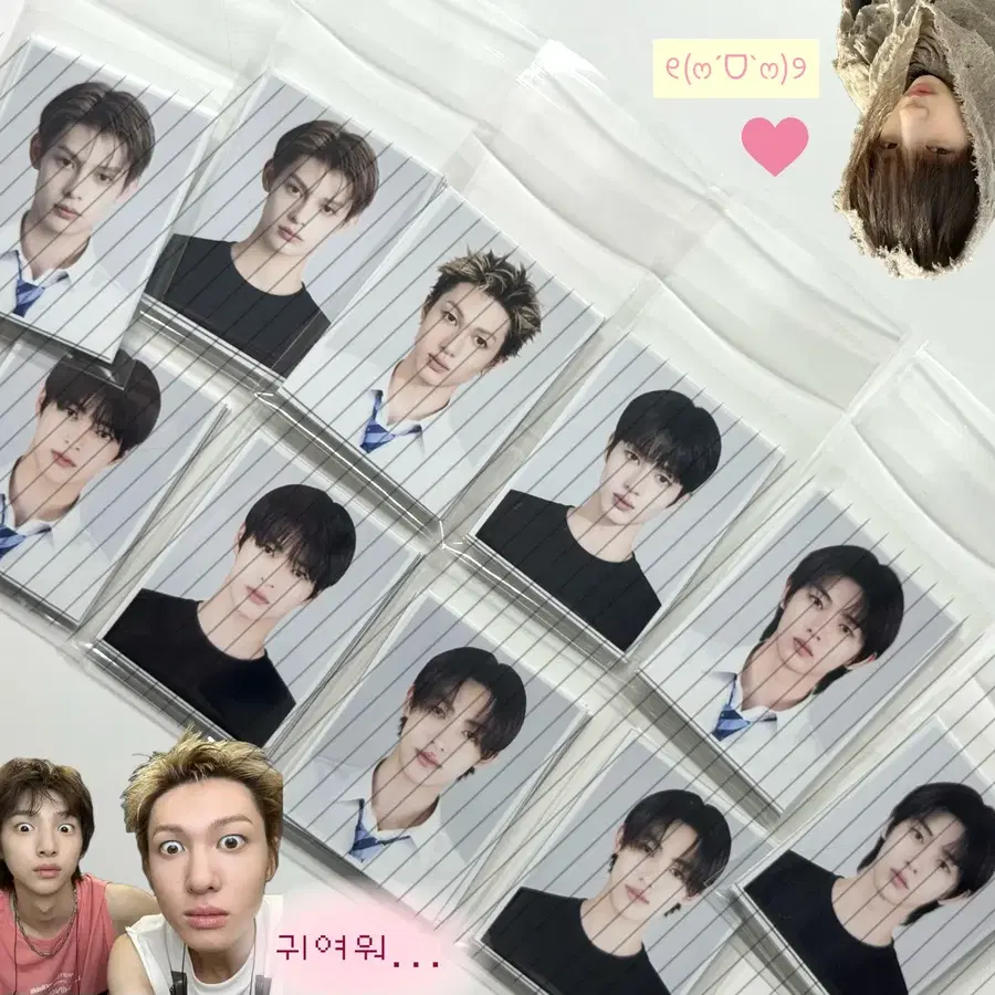 코르티스 증사 / 비공굿 포카