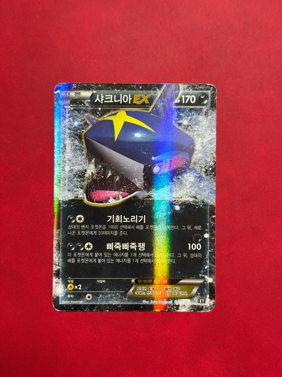 포켓몬 고대 희귀 카드 샤크니아 EX XY