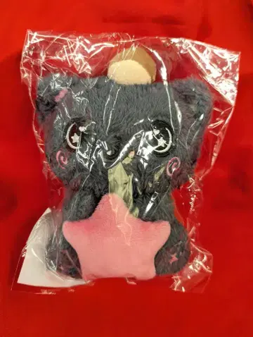 NCT WISH INTO THE WISH Our WISH ENCORE IN SEOUL RIKU STAR WISH DOLL