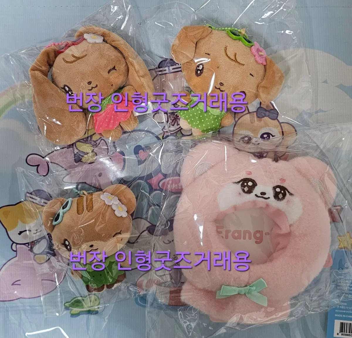 아이브 미니브 마린룩 태닝 미니브 응원봉케이프 체리 강안지 이랑이