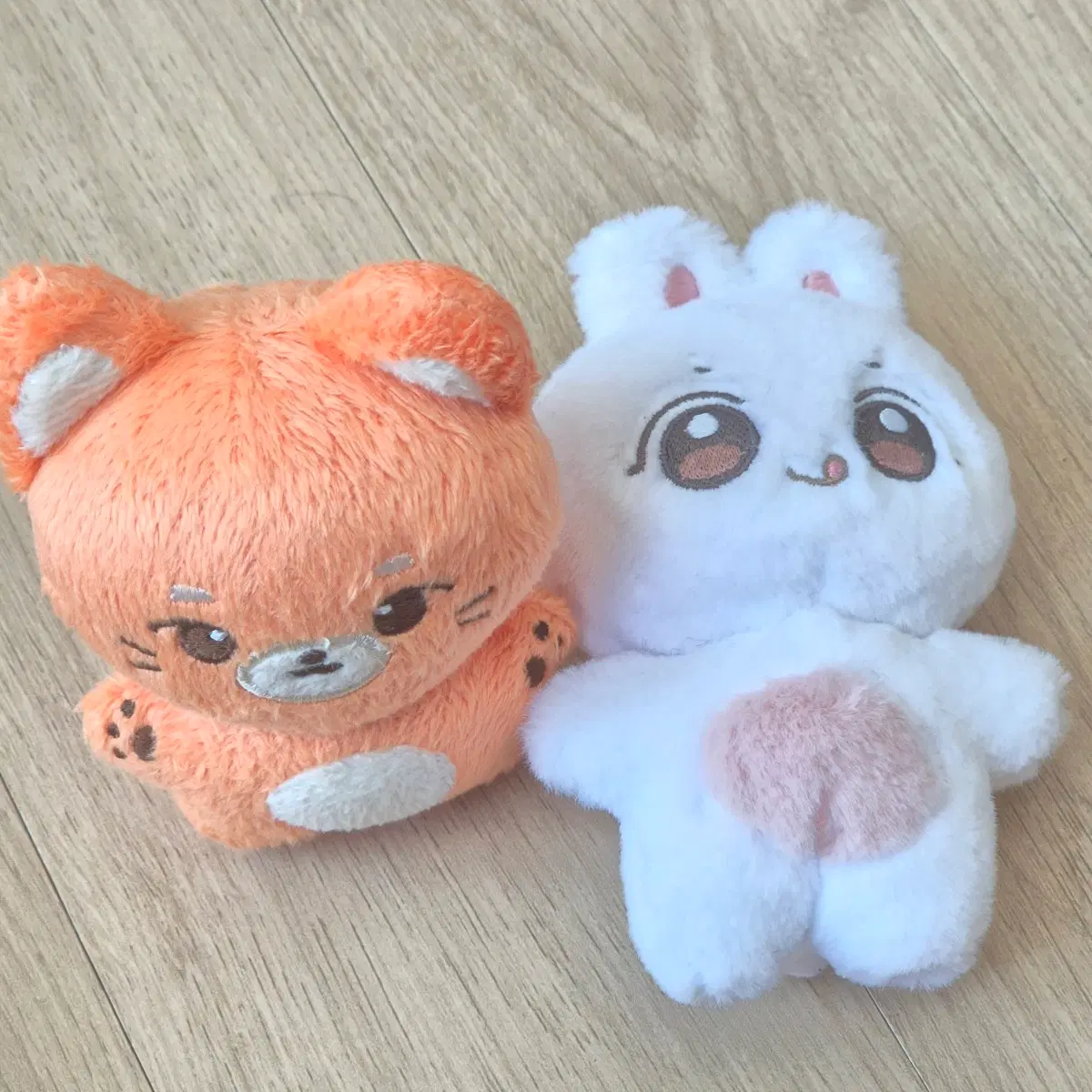 엔플라잉 승협 회승 비공굿 솜깅 뽀승이 폭스협 일괄 양도