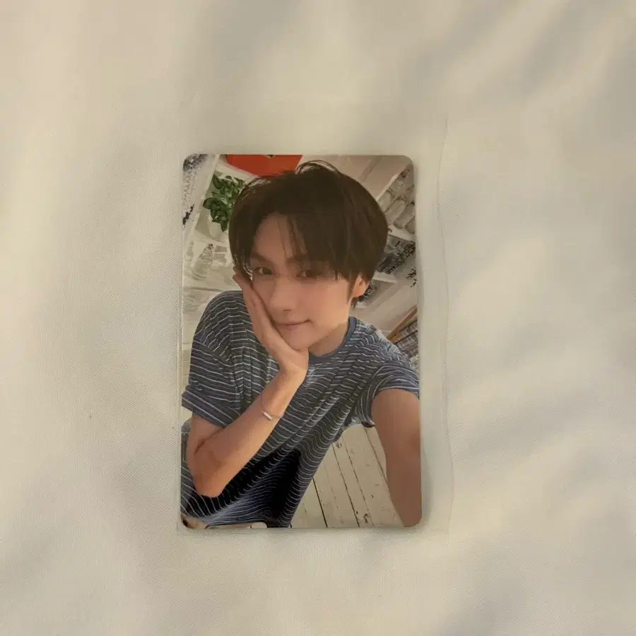 투어스 영재 유니버셜 재팬 소다소다 포카 SODASODA 특전 포토카드