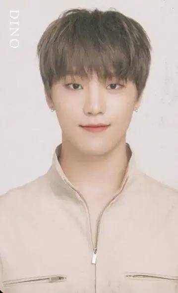 SEVENTEEN 2019 ODE to You IN JAPAN DINO 트레이딩 카드