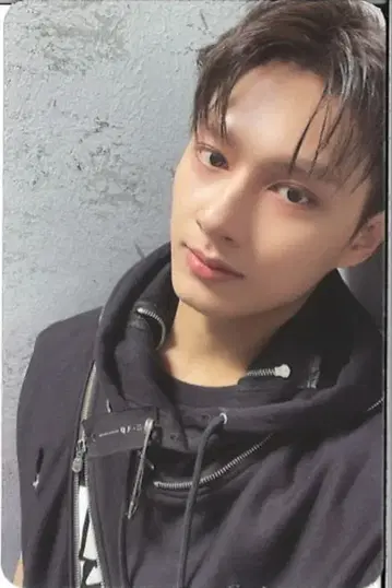 SEVENTEEN FACE THE SUN JUN 트레이딩 카드 Ep2.