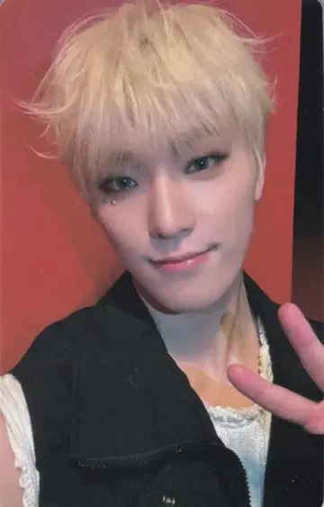 SEVENTEEN FML DINO 럭키 드로우 SW