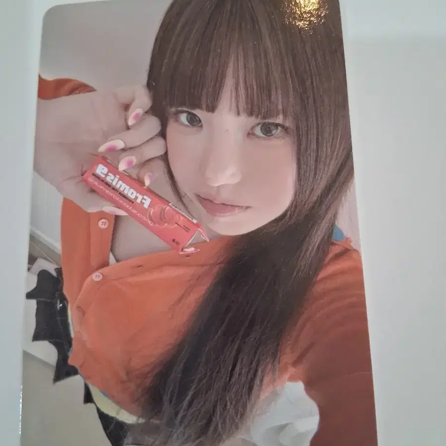 송하영 비타민미 포카