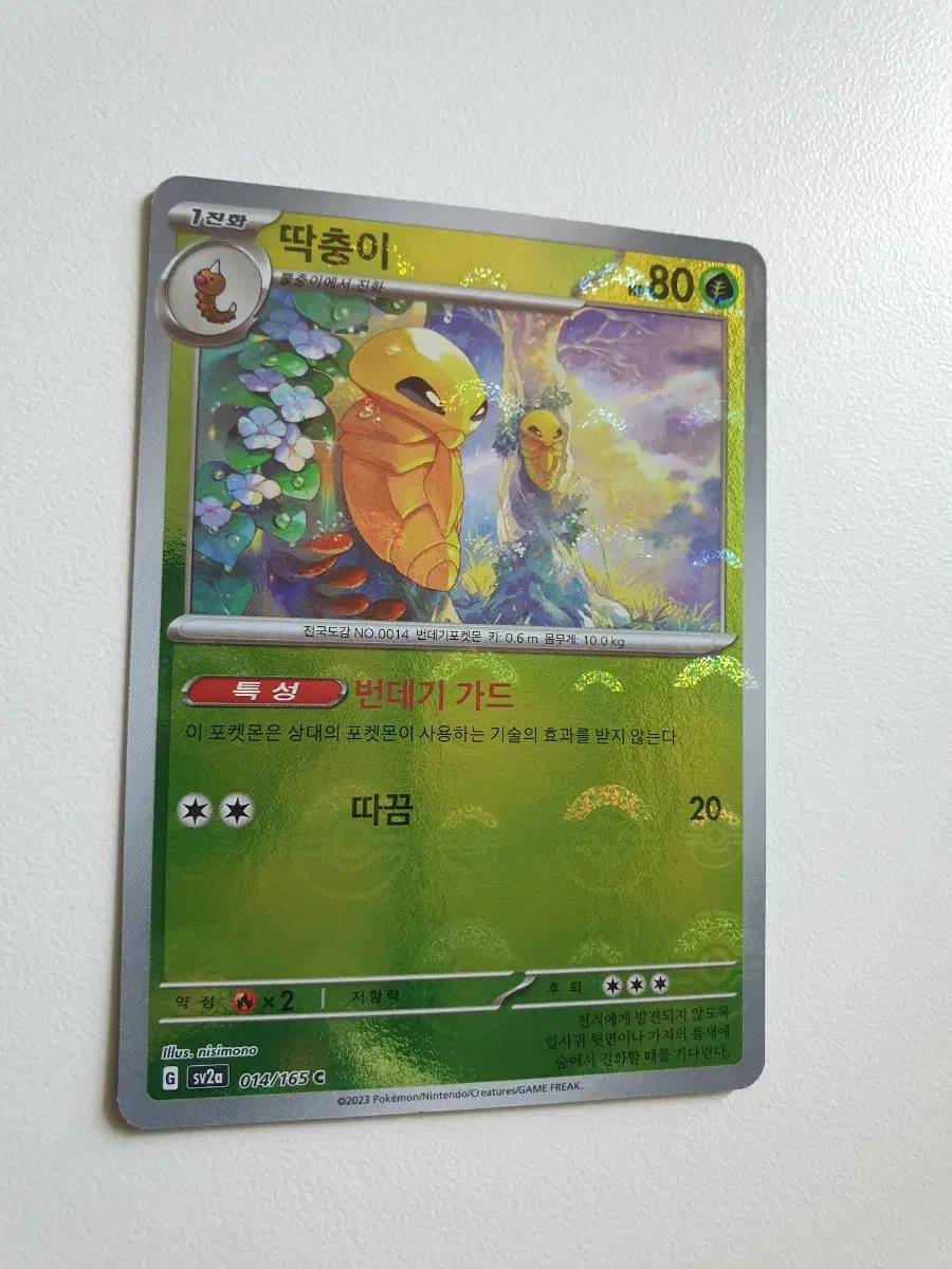 딱충이 몬스터볼 포켓몬카드