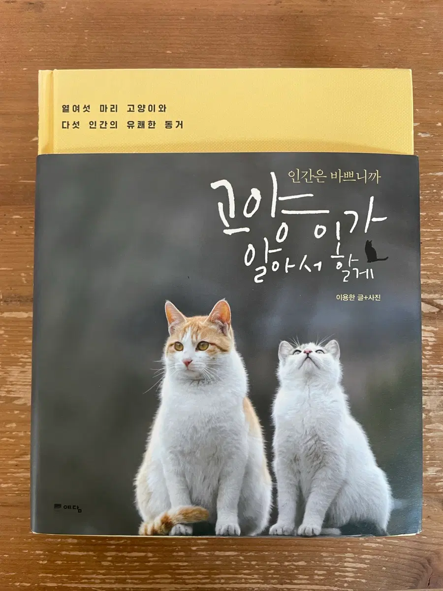 인간은 바쁘니까 고양이가 알아서 할게 - 이용한