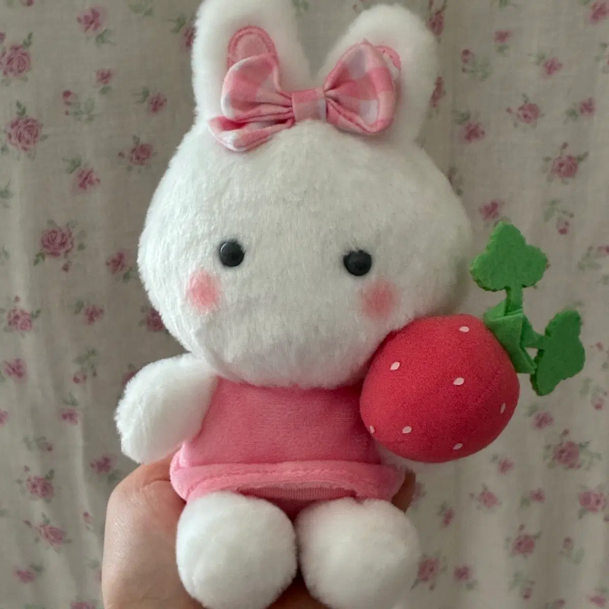 치어리참 인형
