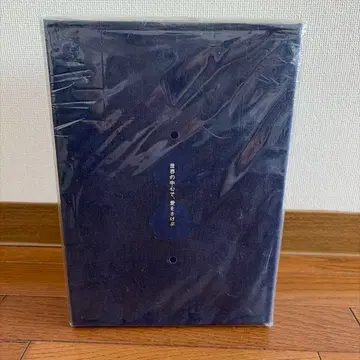 세상의 중심에서 사랑을 외치다 완전 예약 한정 생산 DVD-BOX