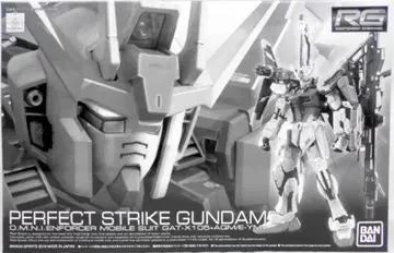 BANDAI SPIRITS 기동전사 건담 SEED RG 퍼펙트 스트라이크 건담