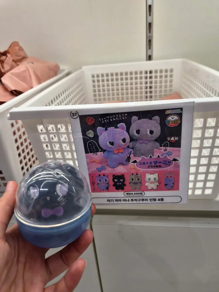 (바로결제o)코아쿠마 마냐 가챠 누이 블랙(검정)