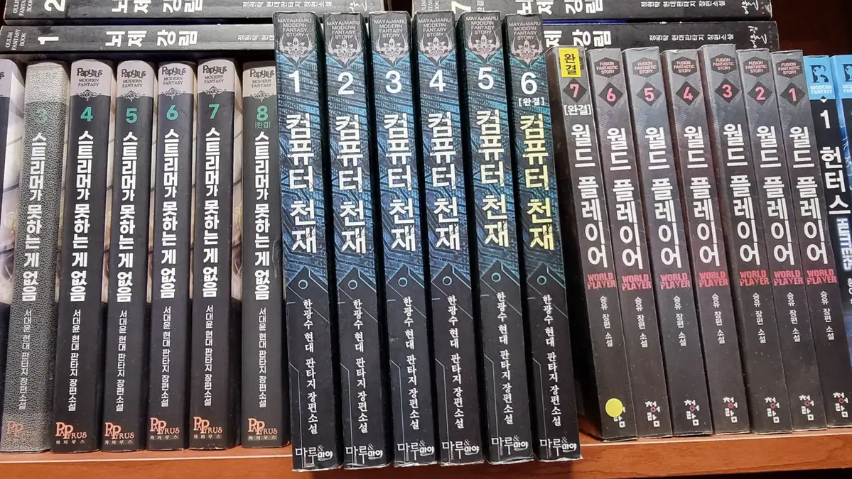 컴퓨터천재 1-6 완 한광수 현대 판타지 소설
