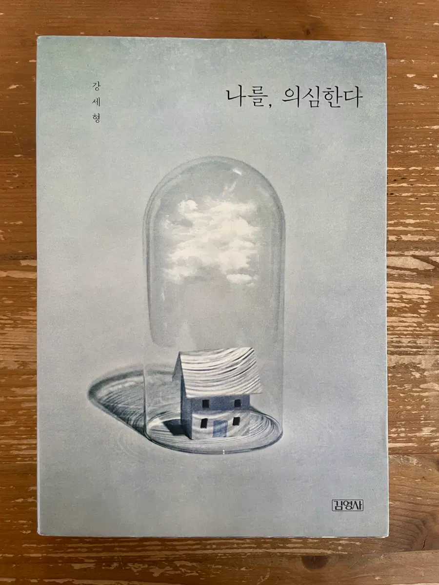 나를, 의심한다 - 강세형
