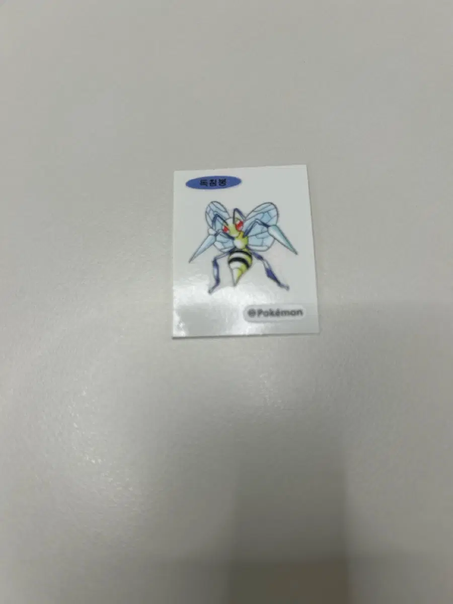 독침붕 띠부실