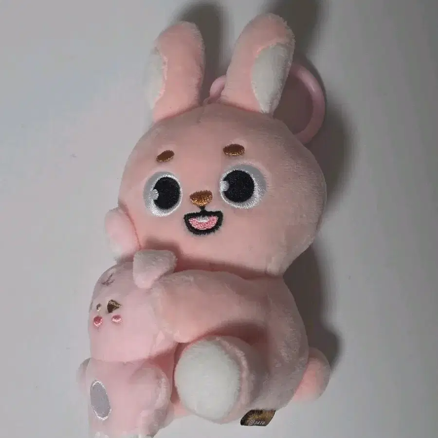 데이식스 나안아 필끼 양도