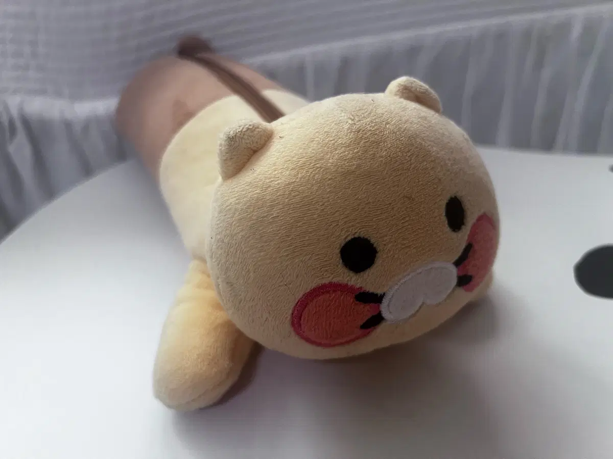 춘식이 필통