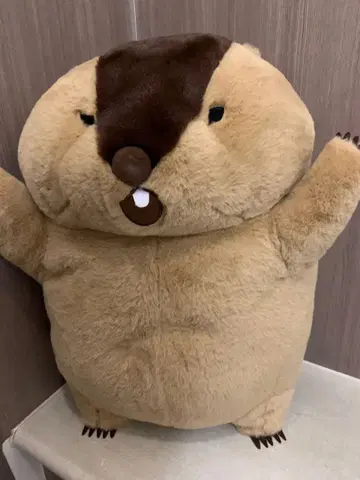 마모트 모토토 허그미 초 울트라 BIG 봉제 인형