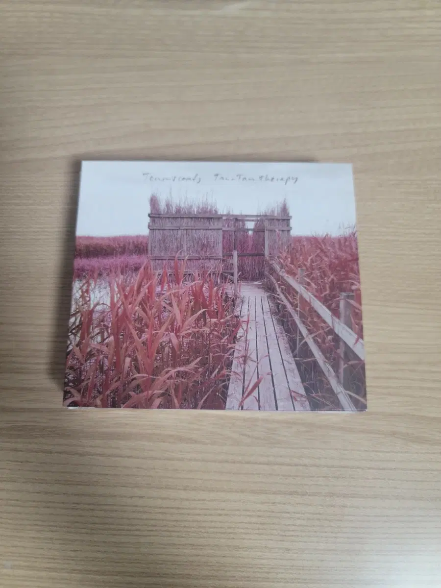tenniscoats CD
