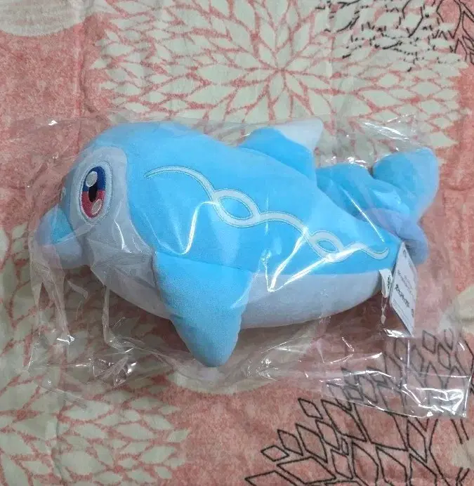 포켓몬 맨돌핀 모후굿토 일본 정품 인형