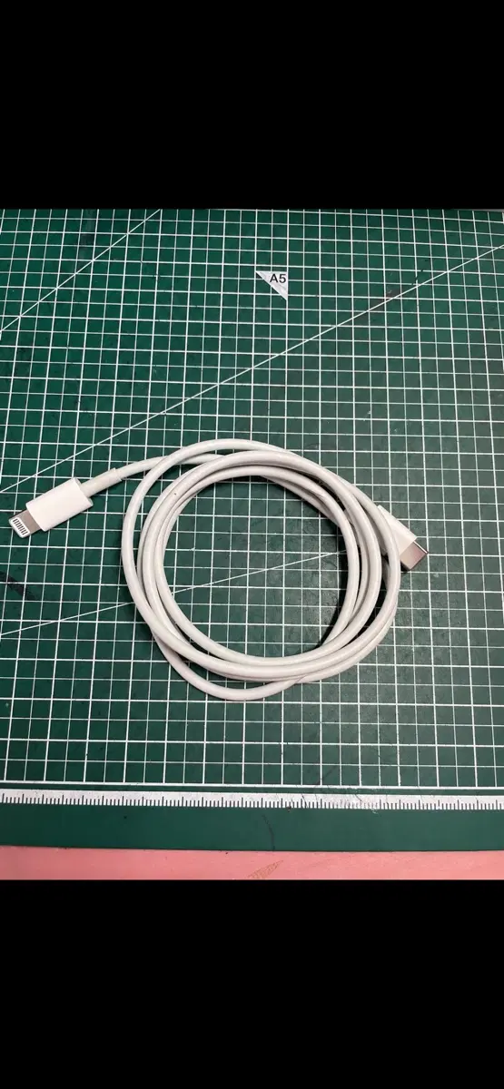 애플 정품 라이트닝 USB-C 케이블