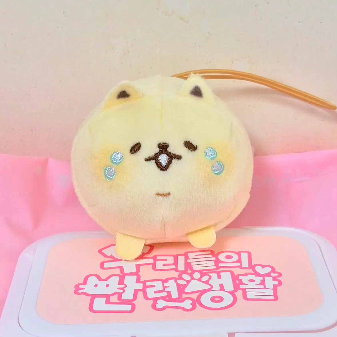 고전 빈티지 우는 구슬 눈물 강아지 메론빵 빵아지 모찌 인형 키링