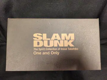 MIC One and Only 서태웅(루카와 카에데) PVC