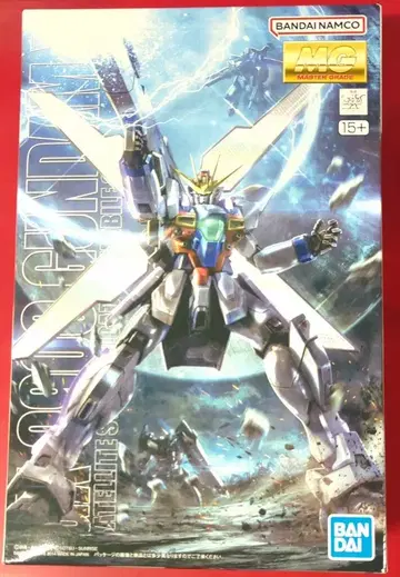 BANDAI SPIRITS MG 1/100 반다이 스피리츠판 건담 X 반남판 반남