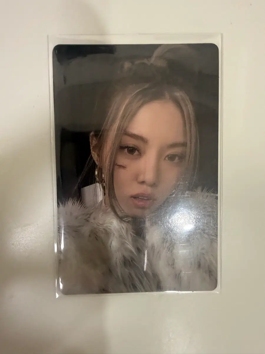 올데프 올데이프로젝트 베일리 포카