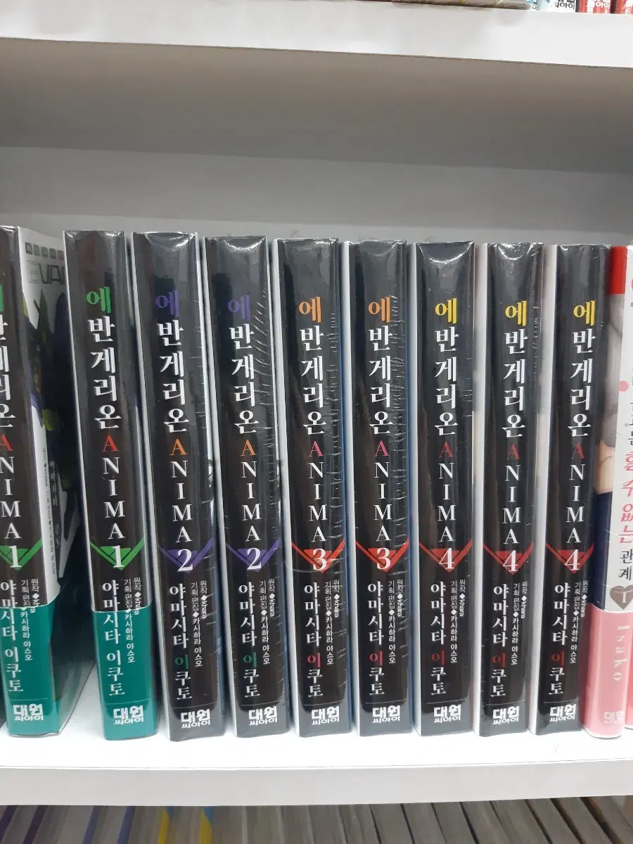 에반게리온 ANIMA 1~4 미개봉 만화짱많아 프로안전상점