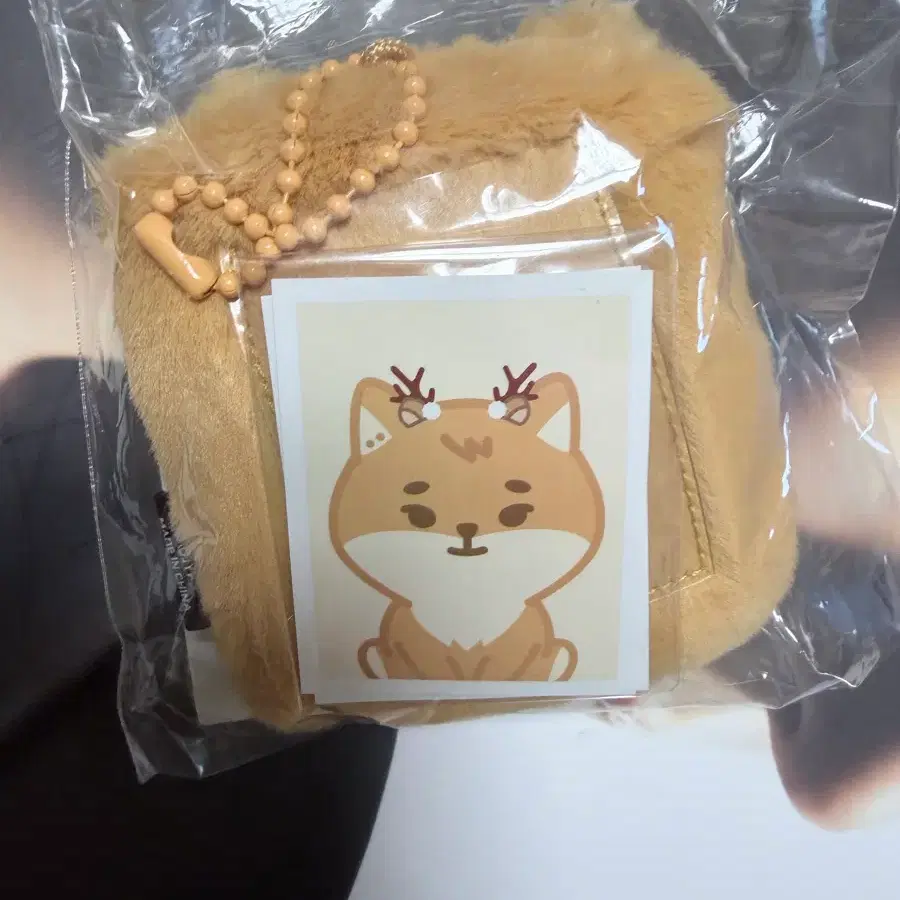 (미개봉) 쁘띠멀즈 ID 포토 홀더 - 케 영케이