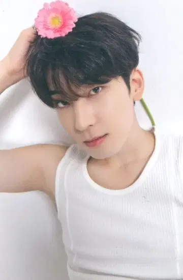 SEVENTEEN 17 IS RIGHT HERE 원우 트레이딩 카드 DEAR