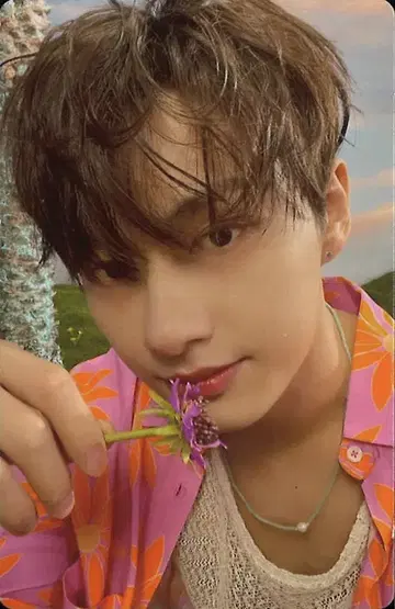 SEVENTEEN NEW BEGINNING JUN SECTOR17 핑크 노랑