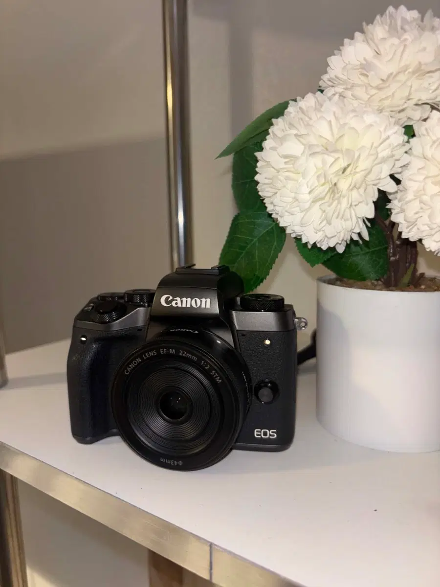 캐논 EOS M5 22mm 렌즈 포함
