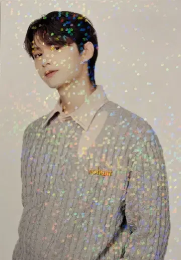 세븐틴 준 2024 세븐틴즈 홈 4