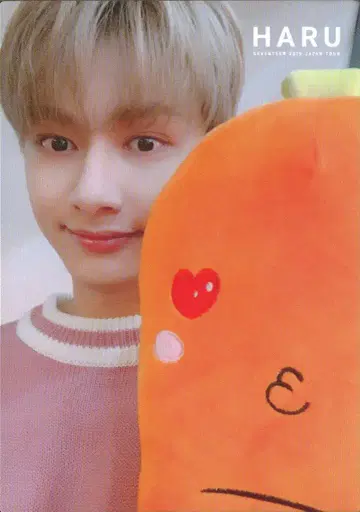 SEVENTEEN JUN 2019 HARU 38