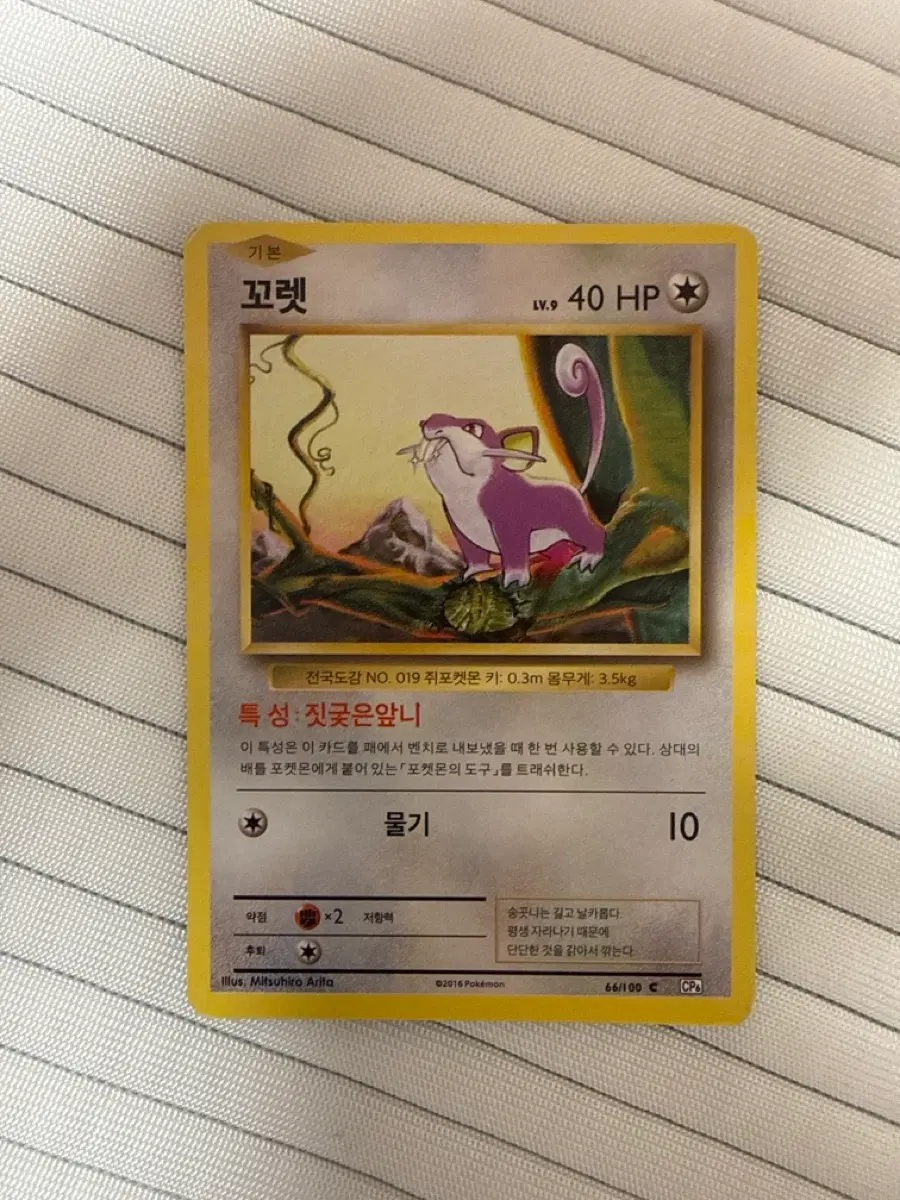 꼬릿 포켓몬 카드