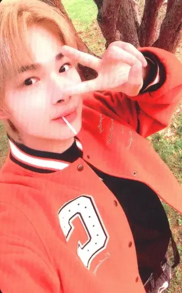 ENHYPEN 2022 시즌 그리팅 NIKI 트레이딩 카드