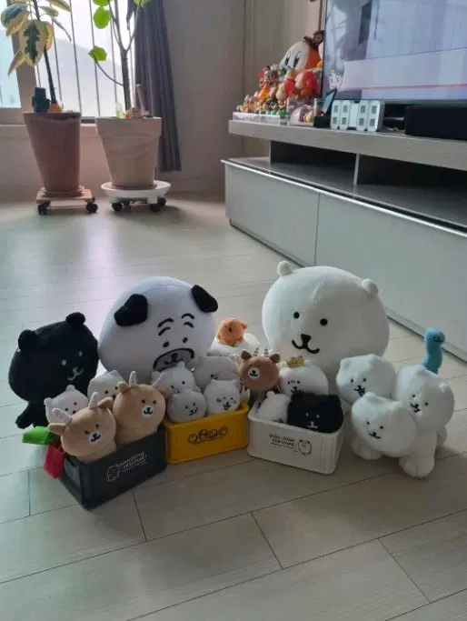 (가격인하) 나가노마켓 담곰이 농담곰 판매